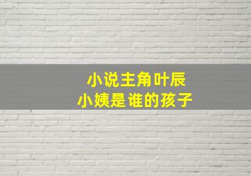 小说主角叶辰小姨是谁的孩子