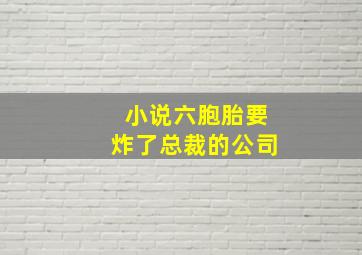 小说六胞胎要炸了总裁的公司