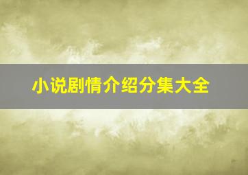 小说剧情介绍分集大全