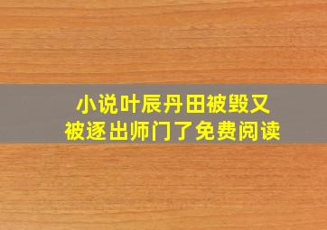 小说叶辰丹田被毁又被逐出师门了免费阅读