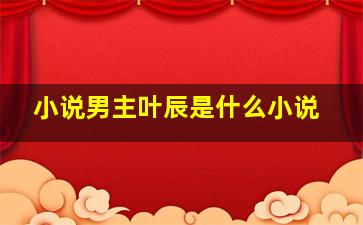 小说男主叶辰是什么小说