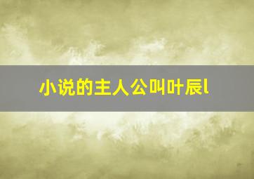 小说的主人公叫叶辰l