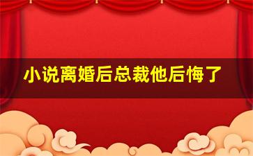 小说离婚后总裁他后悔了