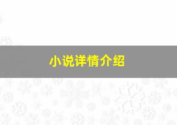 小说详情介绍