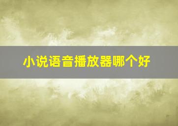 小说语音播放器哪个好