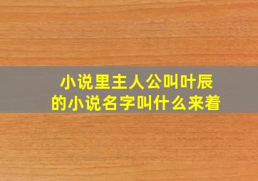 小说里主人公叫叶辰的小说名字叫什么来着