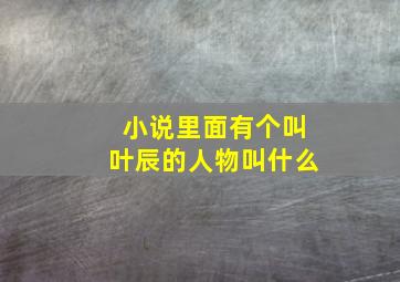 小说里面有个叫叶辰的人物叫什么