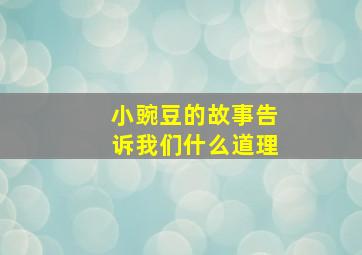 小豌豆的故事告诉我们什么道理