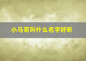 小马哥叫什么名字好听