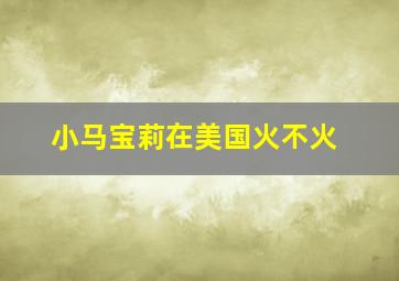 小马宝莉在美国火不火