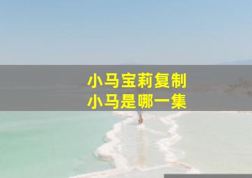 小马宝莉复制小马是哪一集