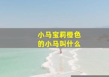 小马宝莉橙色的小马叫什么