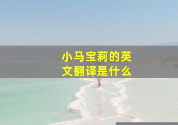 小马宝莉的英文翻译是什么