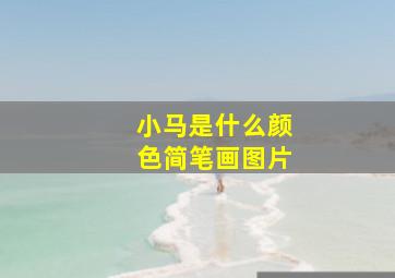 小马是什么颜色简笔画图片