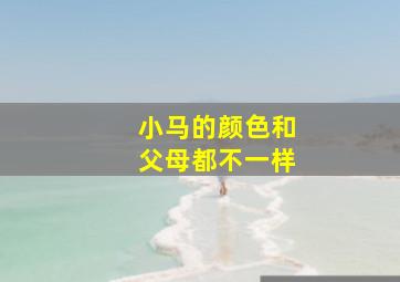 小马的颜色和父母都不一样