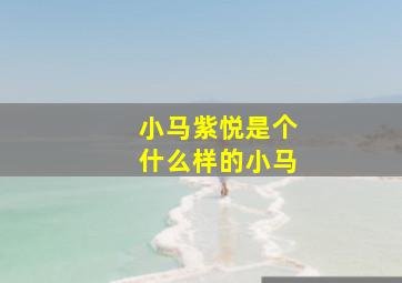 小马紫悦是个什么样的小马