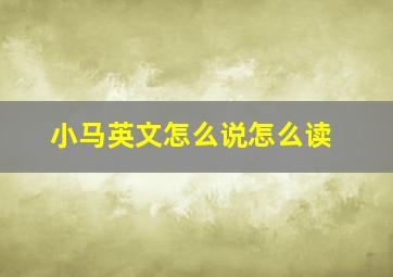 小马英文怎么说怎么读