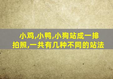 小鸡,小鸭,小狗站成一排拍照,一共有几种不同的站法