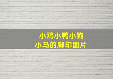 小鸡小鸭小狗小马的脚印图片