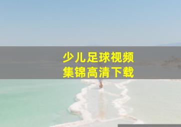 少儿足球视频集锦高清下载