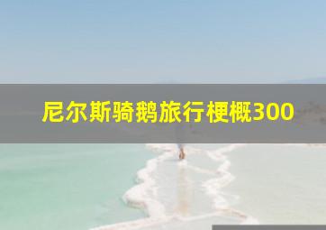 尼尔斯骑鹅旅行梗概300