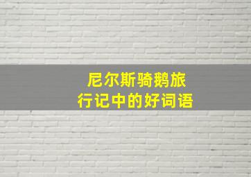 尼尔斯骑鹅旅行记中的好词语