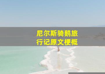 尼尔斯骑鹅旅行记原文梗概