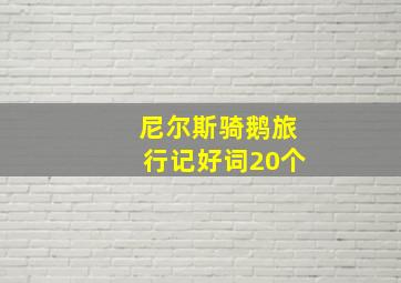 尼尔斯骑鹅旅行记好词20个