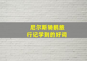 尼尔斯骑鹅旅行记学到的好词