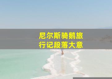 尼尔斯骑鹅旅行记段落大意