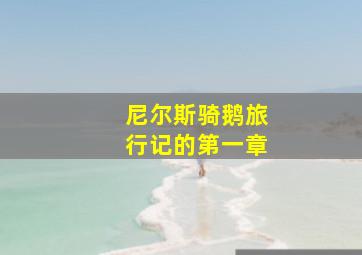 尼尔斯骑鹅旅行记的第一章