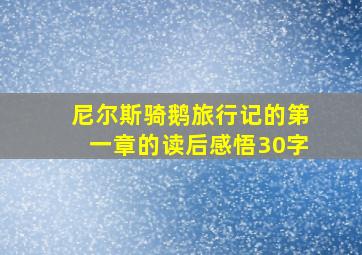 尼尔斯骑鹅旅行记的第一章的读后感悟30字