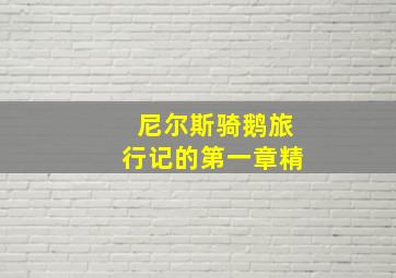 尼尔斯骑鹅旅行记的第一章精