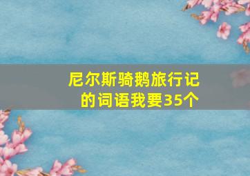 尼尔斯骑鹅旅行记的词语我要35个