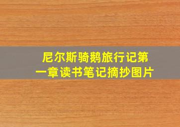 尼尔斯骑鹅旅行记第一章读书笔记摘抄图片