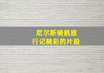 尼尔斯骑鹅旅行记精彩的片段