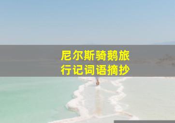 尼尔斯骑鹅旅行记词语摘抄