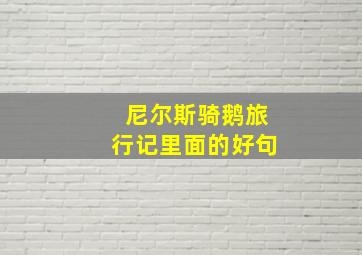 尼尔斯骑鹅旅行记里面的好句