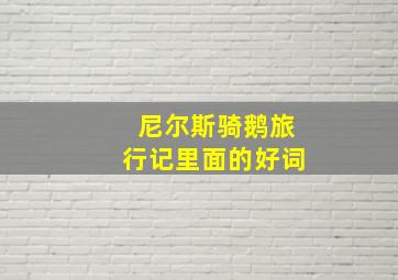 尼尔斯骑鹅旅行记里面的好词