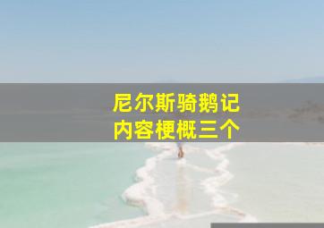 尼尔斯骑鹅记内容梗概三个