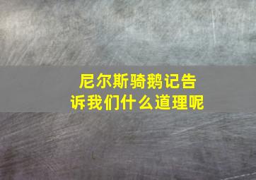 尼尔斯骑鹅记告诉我们什么道理呢