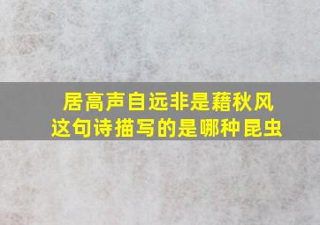 居高声自远非是藉秋风这句诗描写的是哪种昆虫