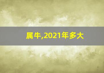 属牛,2021年多大