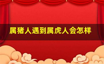 属猪人遇到属虎人会怎样