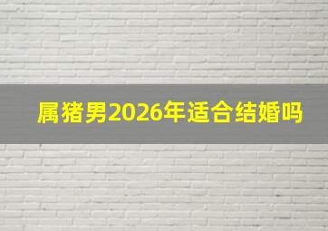 属猪男2026年适合结婚吗