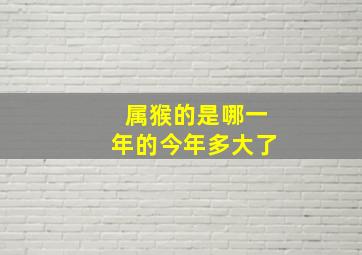 属猴的是哪一年的今年多大了