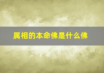 属相的本命佛是什么佛