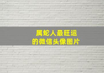 属蛇人最旺运的微信头像图片