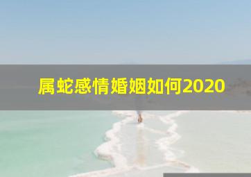 属蛇感情婚姻如何2020