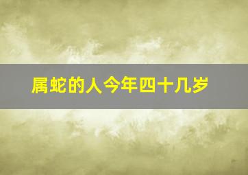 属蛇的人今年四十几岁